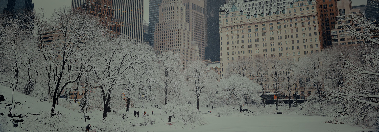 Snow-covered Central Park with the Plaza Hotel in the background
