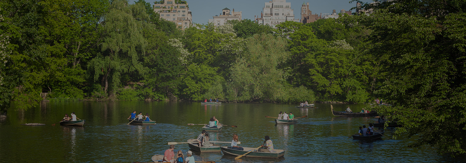 Rowboats on the Central Park Lake in summer