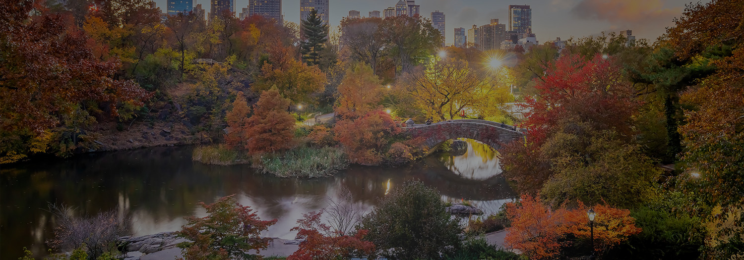 Gapstow Bridge in Central Park surrounded by autumn foliage