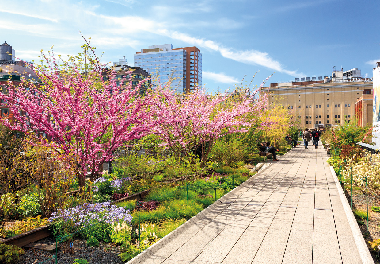 The High Line in spring with flowering trees