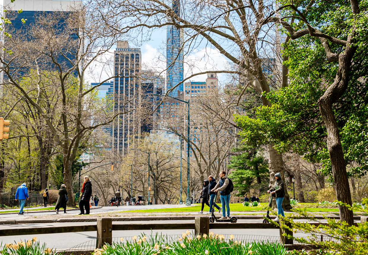 People walking and scootering in Central Park in spring