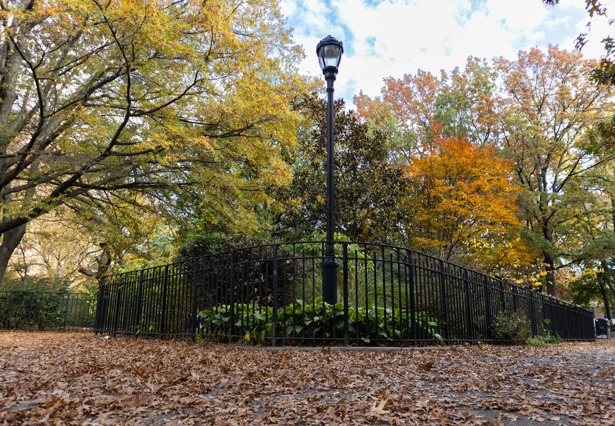 Fallen leaves and lamp post in Central Park in autumn