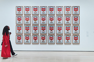 Visitor viewing Warhol's Campbell's Soup Cans at a museum
