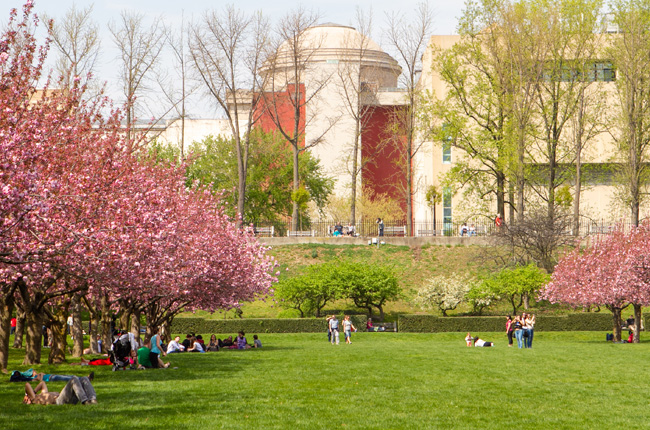 People relaxing among spring blossoms in a NYC park