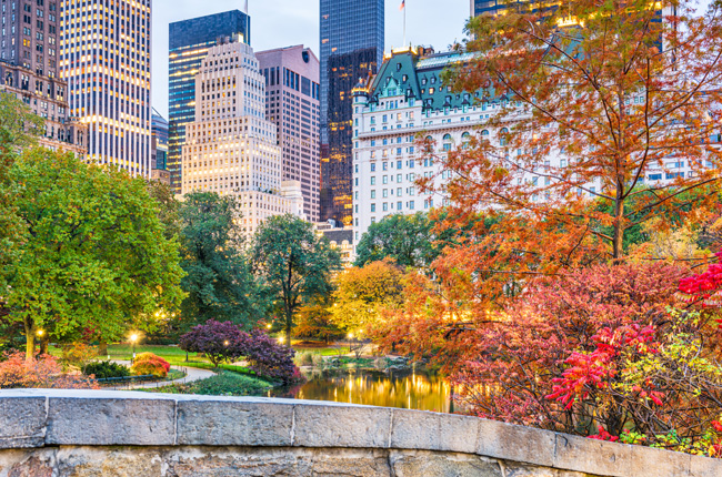 Central Park in autumn with Manhattan skyline