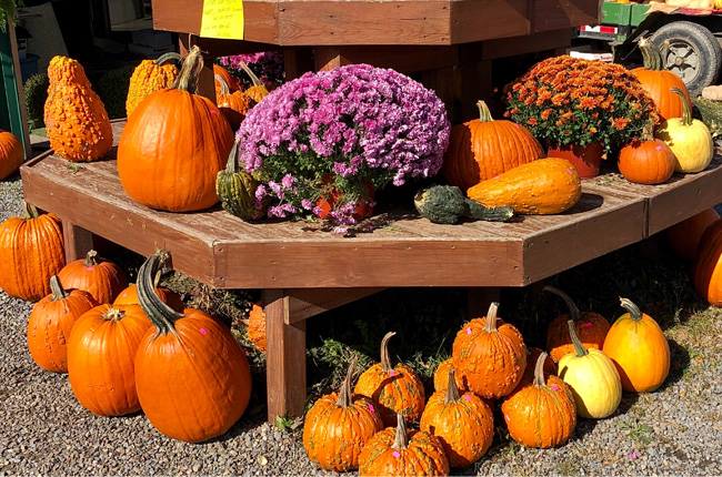 Pumpkins and fall flowers at a market stand